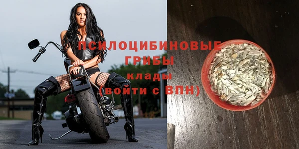 дживик Михайлов